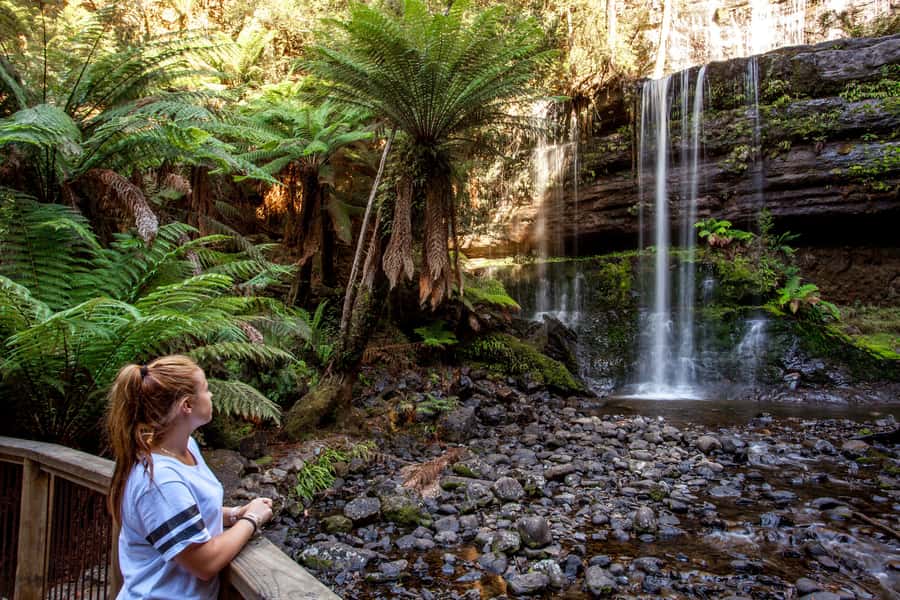 From Hobart: Mt. Field, Mt. Wellington and Wildlife Day Tour - Who should book this tour?