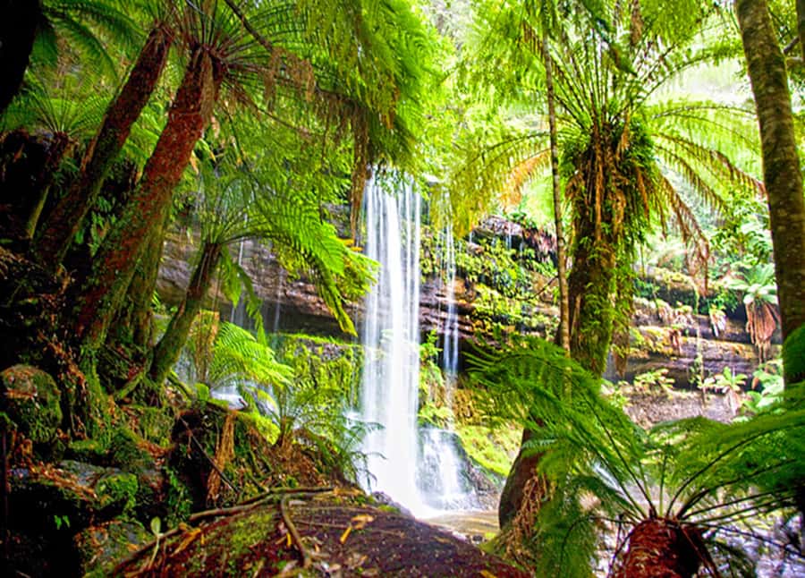 From Hobart: Mt. Field National Park and Russell Falls - Key points at a glance