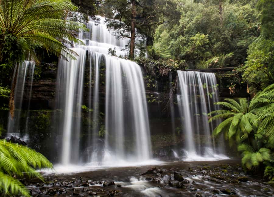 From Hobart: Mt. Field National Park and Russell Falls - From Hobart to the Derwent Valley