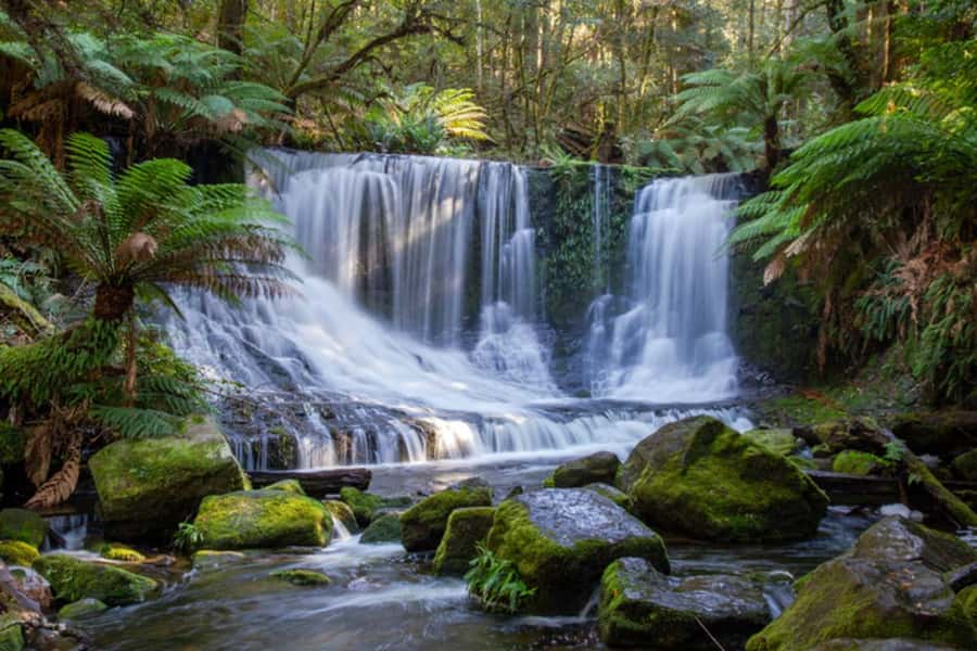 From Hobart: Mt. Field National Park and Russell Falls - A short look around New Norfolk