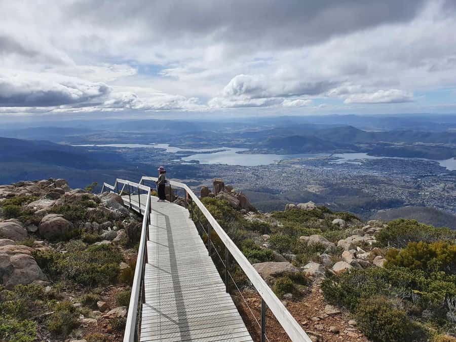 From Hobart: Mt Wellington Pinnacle 2 Hour Small Group Tour - From Hobart streets to the mountain road