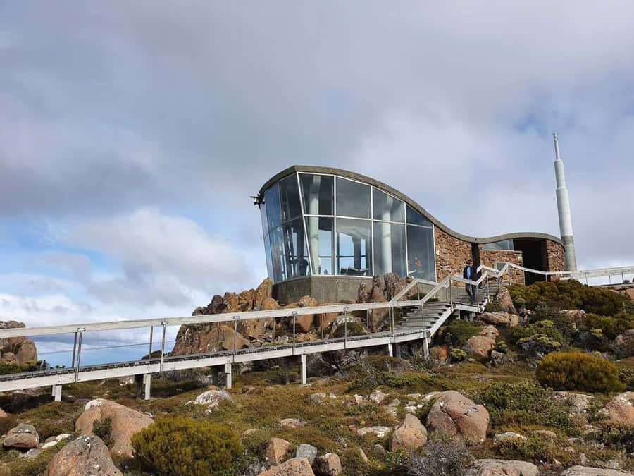 From Hobart: Mt Wellington Pinnacle 2 Hour Small Group Tour - Crossing the tree line to 1,270 metres