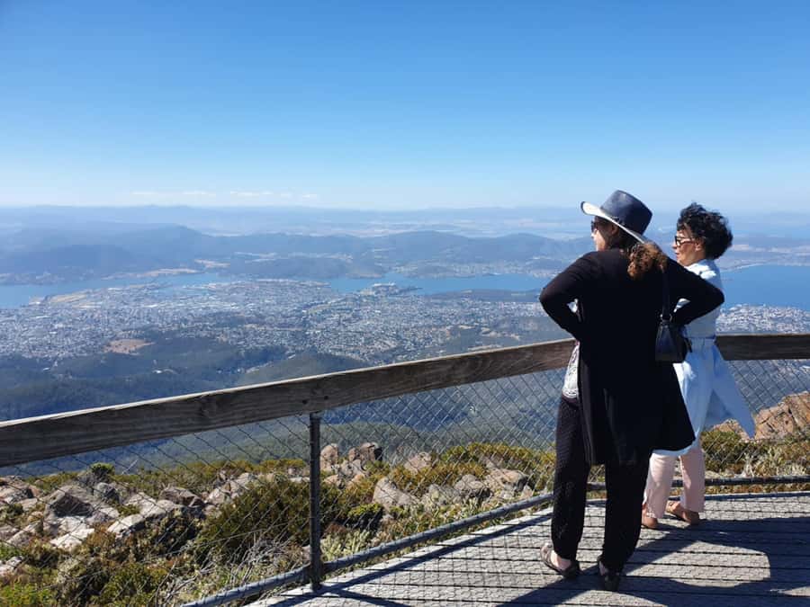 From Hobart: Mt Wellington Pinnacle 2 Hour Small Group Tour - Who should book the Mt Wellington Pinnacle tour