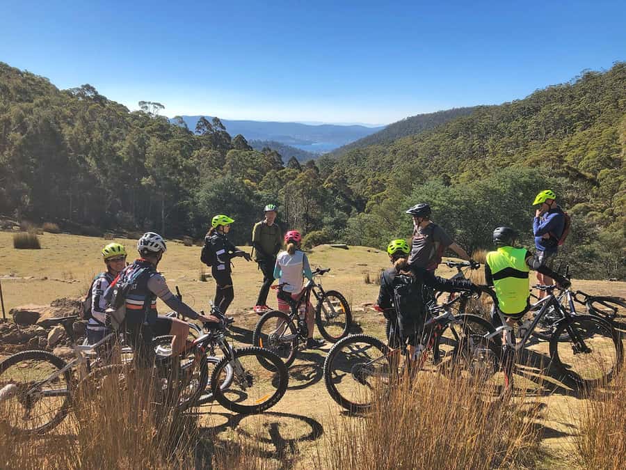 From Hobart: Mt Wellington Summit & Rainforest Bike Tour - From South Hobart to a 1,270-metre summit