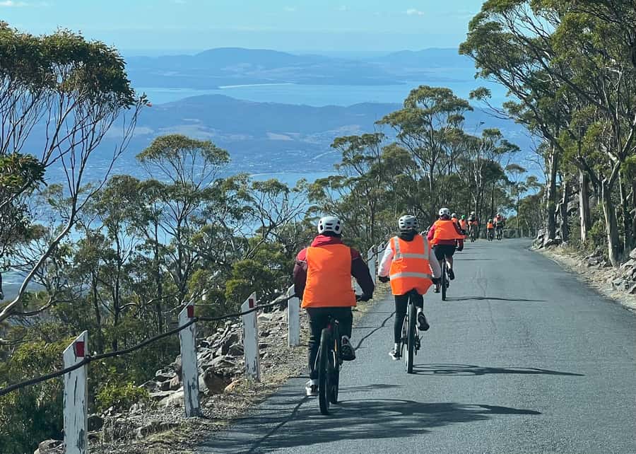 From Hobart: Mt Wellington Summit & Rainforest Bike Tour - The 6 km ride from the summit