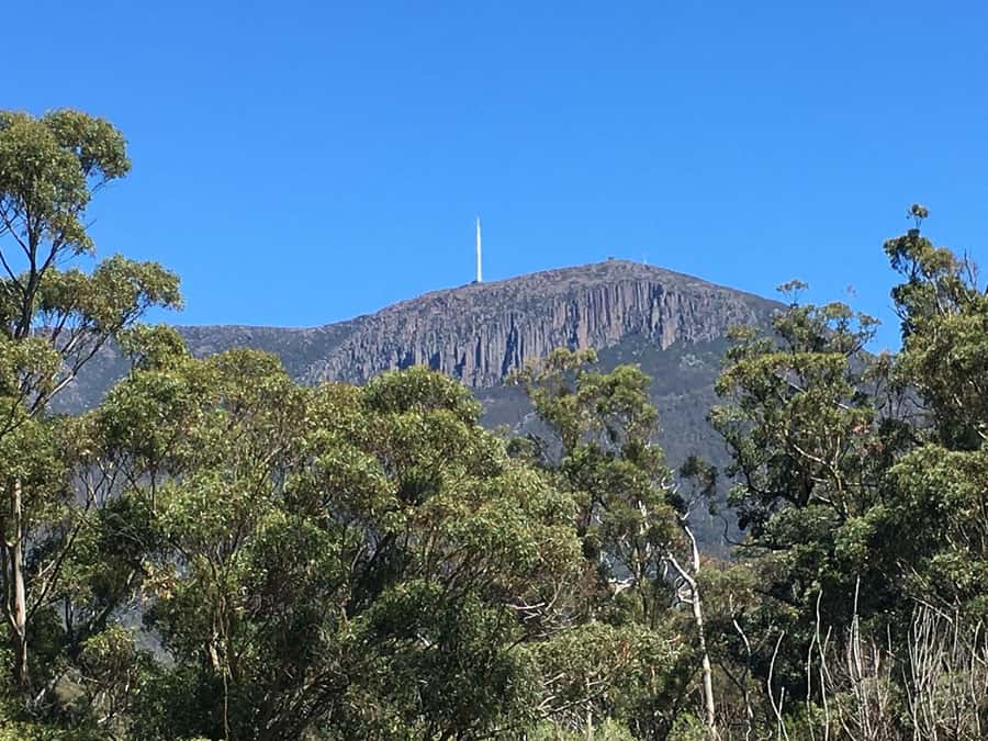 From Hobart: Mt Wellington Summit & Rainforest Bike Tour - Wildlife, water, and the chance to slow down