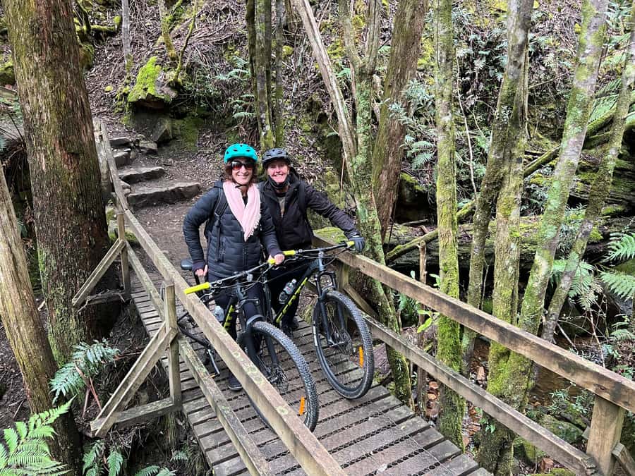 From Hobart: Mt Wellington Summit & Rainforest Bike Tour - Why the guides make a difference