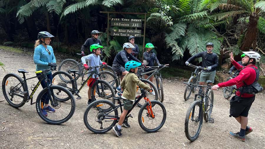From Hobart: Mt Wellington Summit & Rainforest Bike Tour - Is $119 good value for four hours?