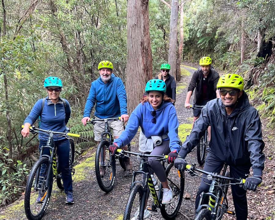 From Hobart: Mt Wellington Summit & Rainforest Bike Tour - Who will enjoy this ride most?