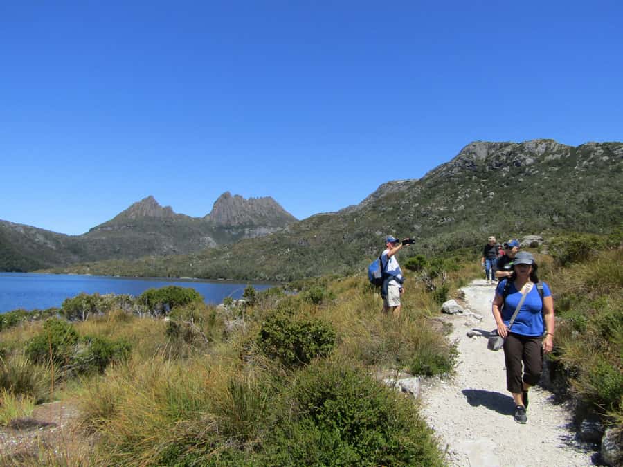 From Launceston: Cradle Mountain - Active Day Tour - Marion’s Lookout is for stronger walkers