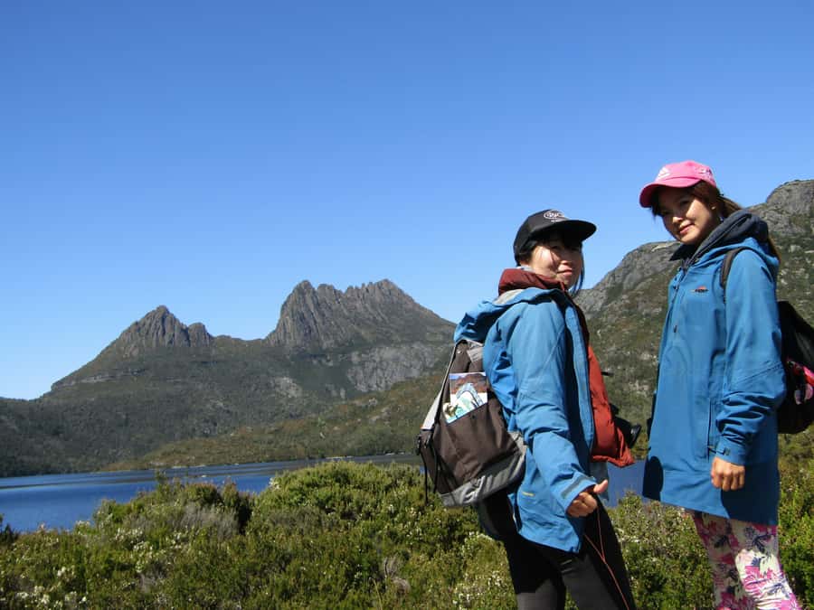 From Launceston: Cradle Mountain - Active Day Tour - Wombats add a welcome surprise