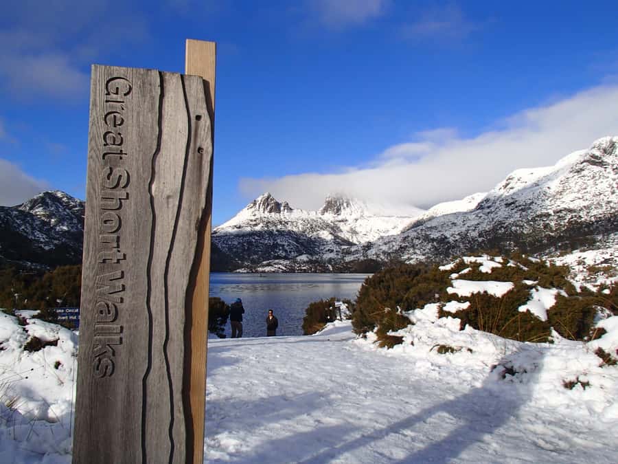 From Launceston: Cradle Mountain - Active Day Tour - What the $115 price really covers