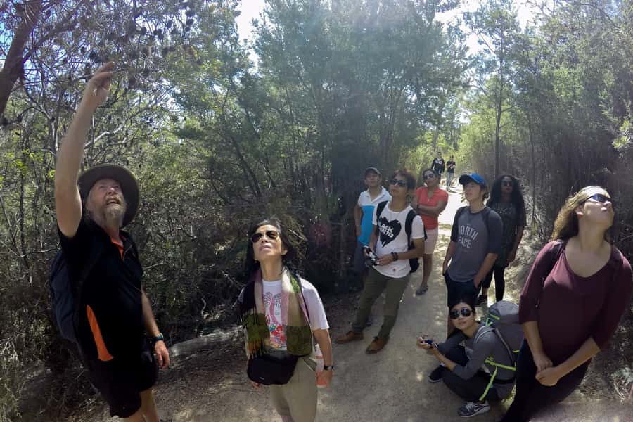 From Launceston: Full-Day Wineglass Bay Explorer Active Tour - Devil’s Corner is a well-chosen finish