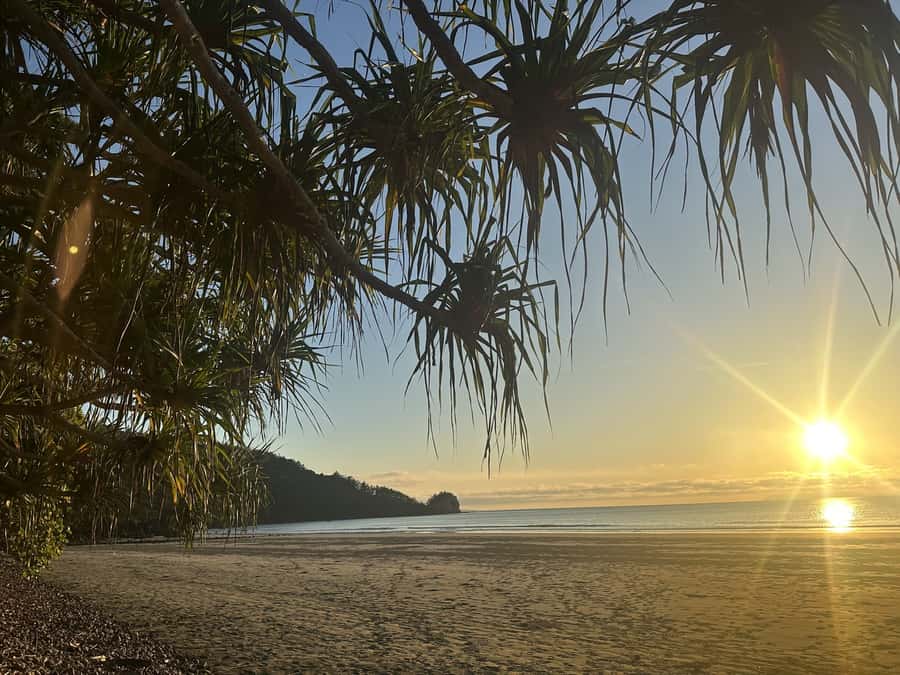 From Mackay: Wallabies on the Beach Sunrise Trip - Is $91 good value?