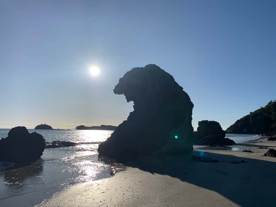 From Mackay: Wallabies on the Beach Sunrise Trip - Timing, weather, and practical limits