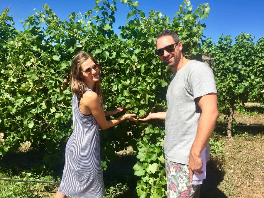 From Margaret River: Margaret River Wine Adventure - Who should book this Margaret River day?