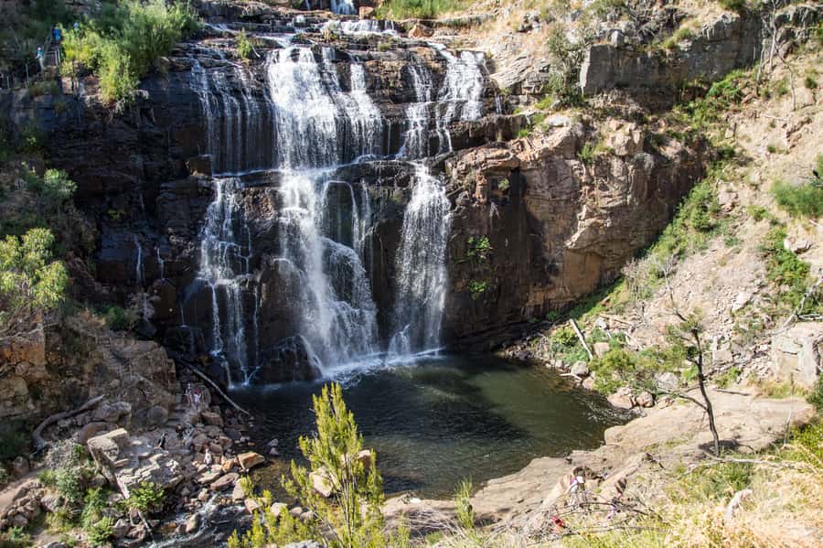 From Melbourne: 2-Day Great Ocean Road & Grampians Escape - Walking through the Otway rainforest
