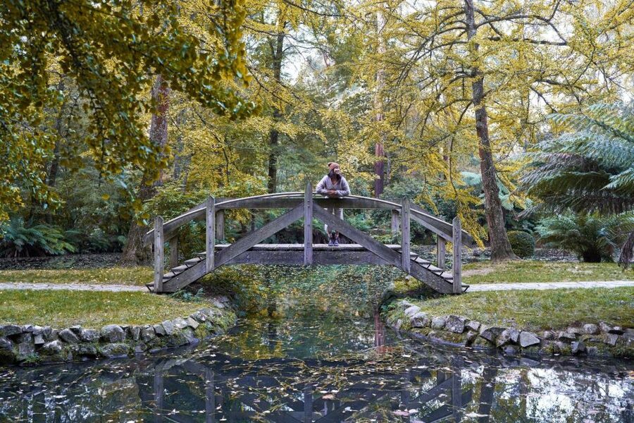 From Melbourne: Dandenong Ranges Private Day Tour - A cosy lunch stop with extra cost