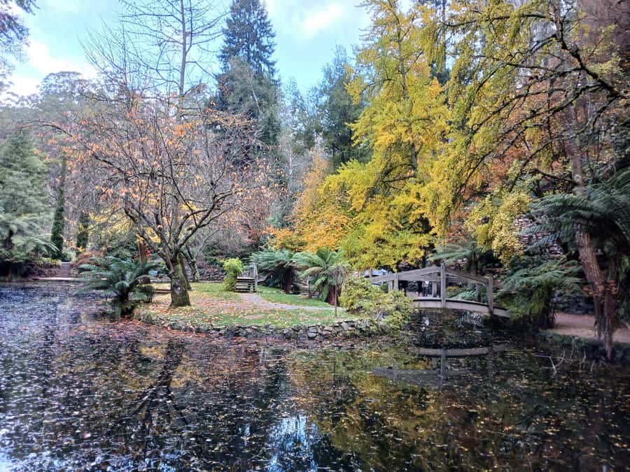 From Melbourne: Dandenong Ranges Private Day Tour - Alfred Nicholas Gardens and its Japanese-style lake