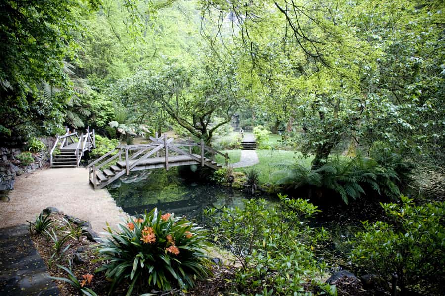 From Melbourne: Dandenong Ranges Private Day Tour - Leaving Melbourne for the forest