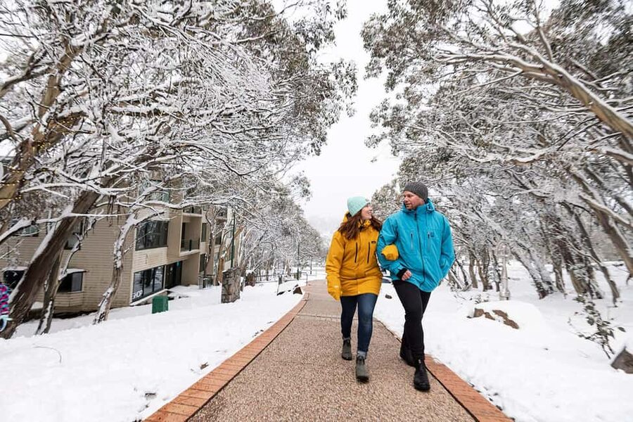 From Melbourne: Day Tour to Mt Buller with Snow Clothes - The main weakness: no guide and a long road day