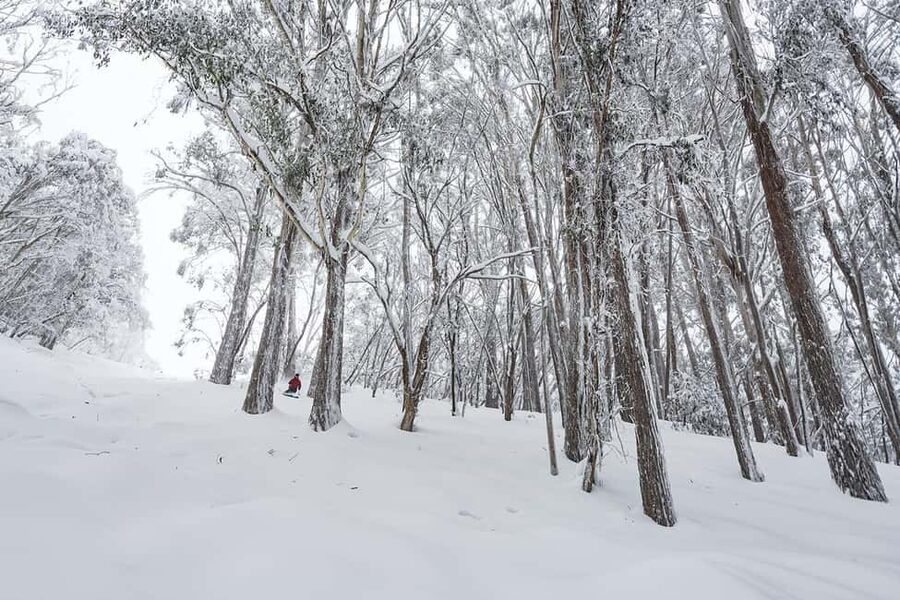 From Melbourne: Day Tour to Mt Buller with Snow Clothes - Should you book the Mt Buller snow day?