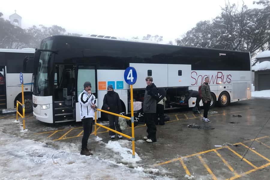 From Melbourne: Day Trip to Mt Buller by Premium Tour Coach - Who will enjoy this trip most