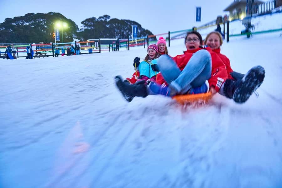 From Melbourne: Day Trip to Mt Buller by Premium Tour Coach - The real appeal: a snow day without hiring a car