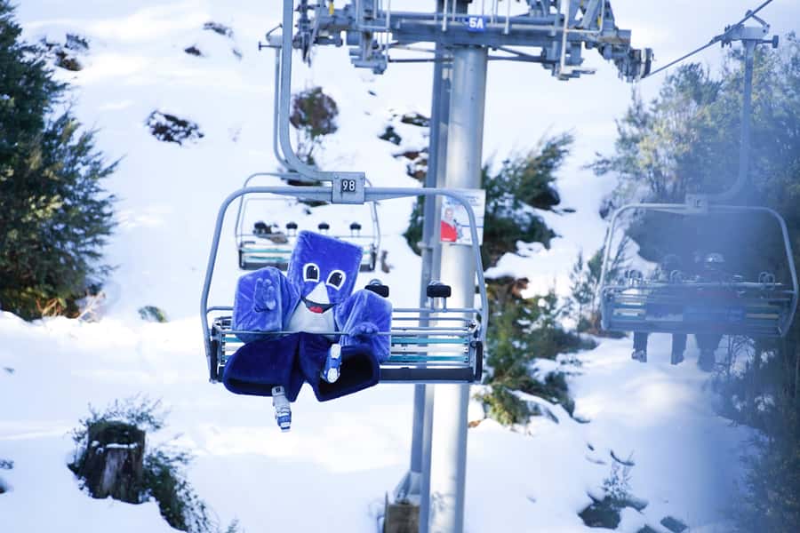 From Melbourne: Day Trip to Mt Buller by Premium Tour Coach - Southern Cross Station: finding Bay 58