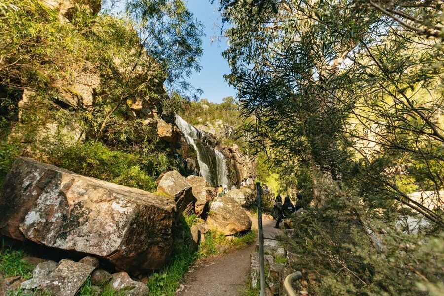 From Melbourne: Grampians National Park Group Tour - Silverband Falls: a gentle first walk