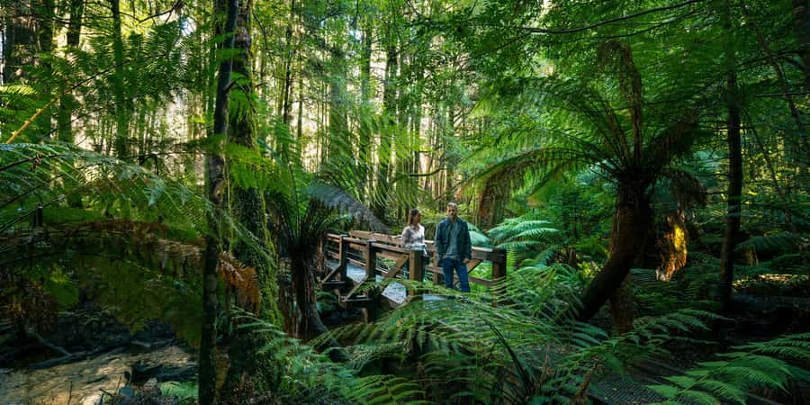From Melbourne: Great Ocean Road & 12 Apostles Full-Day Tour - The 12 Apostles are the day’s main event
