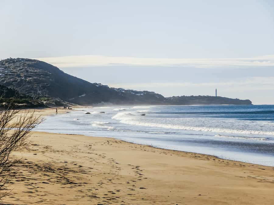 From Melbourne: Great Ocean Road, 12 Apostles, Wildlife Tour - Transport, group size, and comfort