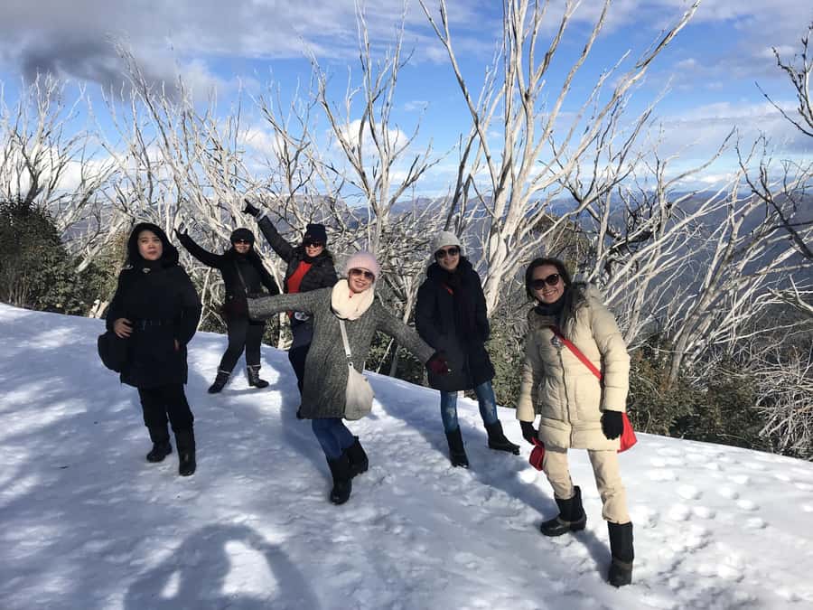 From Melbourne: Mt Buller Snow Day Small Group Boutique Tour - The key points at a glance