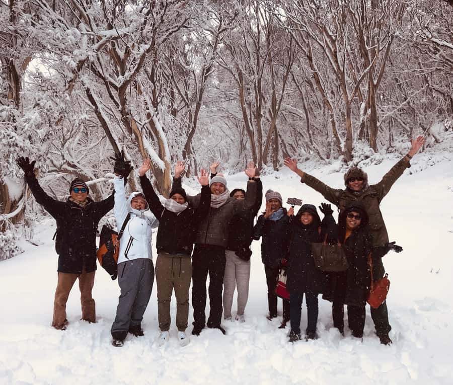 From Melbourne: Mt Buller Snow Day Small Group Boutique Tour - Tobogganing at Horse Hill