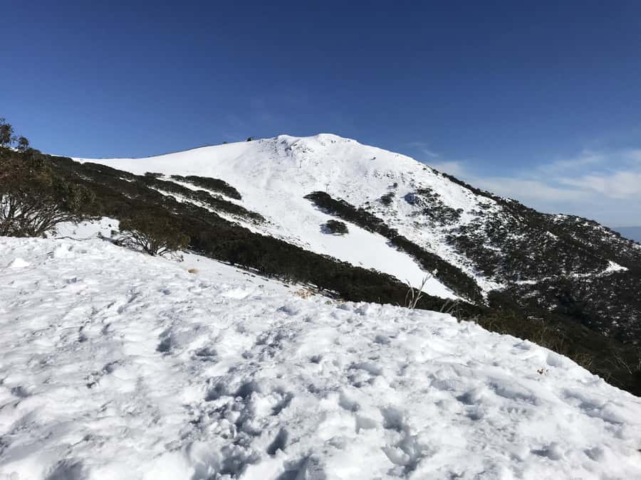 From Melbourne: Mt Buller Snow Day Small Group Boutique Tour - The Village Circuit Track guided walk