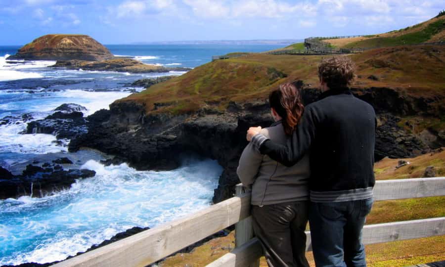 From Melbourne: Penguin Parade Afternoon Tour - Wildlife spotting begins before the penguins
