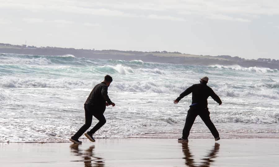 From Melbourne: Penguin Parade Afternoon Tour - Afternoon departure suits a slower Melbourne morning