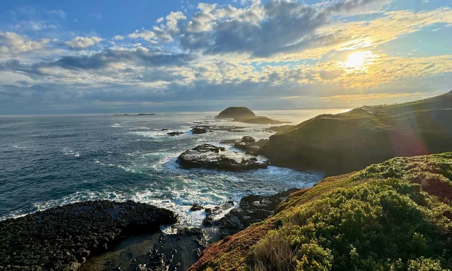 From Melbourne: Penguin Parade Afternoon Tour - Food, weather, and what to pack