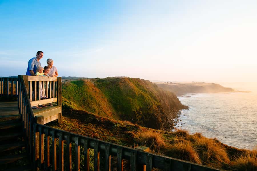 From Melbourne: Penguin Parade and Koalas Tour - Key points to know before booking