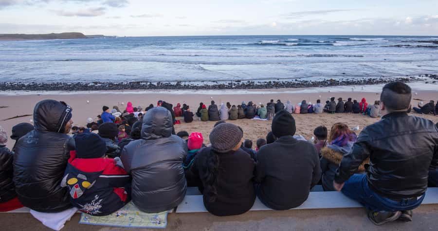 From Melbourne: Penguin Parade, Koalas & Kangaroos - Brighton Beach Boxes and Melbourne skyline views