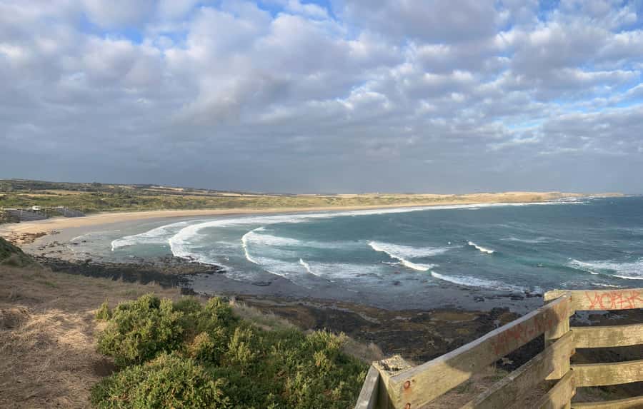 From Melbourne: Phillip Is Penguin Parade & Koala Reserve - Guides can shape a long day