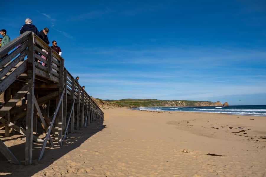 From Melbourne: Phillip Island and Penguin Parade Day Tour - The Nobbies and Seal Rocks add the best coastal views