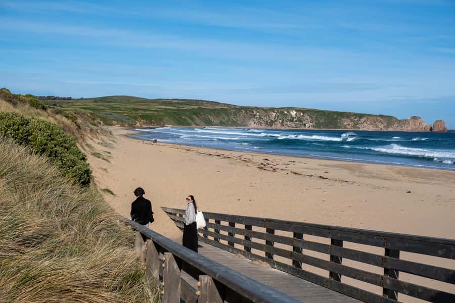 From Melbourne: Phillip Island and Penguin Parade Day Tour - Guides make a real difference during the long drives
