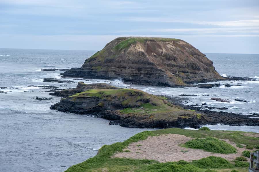 From Melbourne: Phillip Island and Penguin Parade Day Tour - Packing advice for an evening by the sea