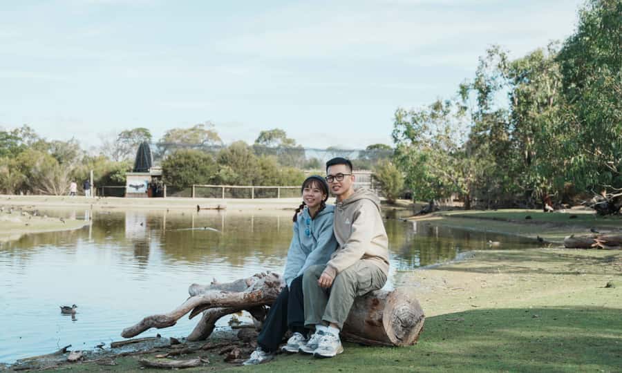 From Melbourne: Phillip Island Penguin Parade Eco Tour - Who will enjoy this Phillip Island tour?