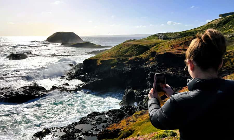 From Melbourne: Phillip Island Penguin Parade Eco Tour - My booking advice