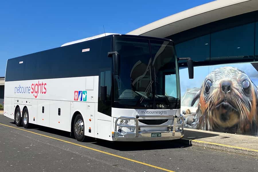 From Melbourne: Phillip Island Penguin Parade Express Tour - Weather, clothing, and what to pack