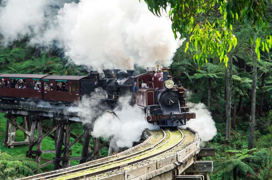 From Melbourne: Puffing Billy and Penguin Parade Combo Tour - Why this Melbourne day trip works