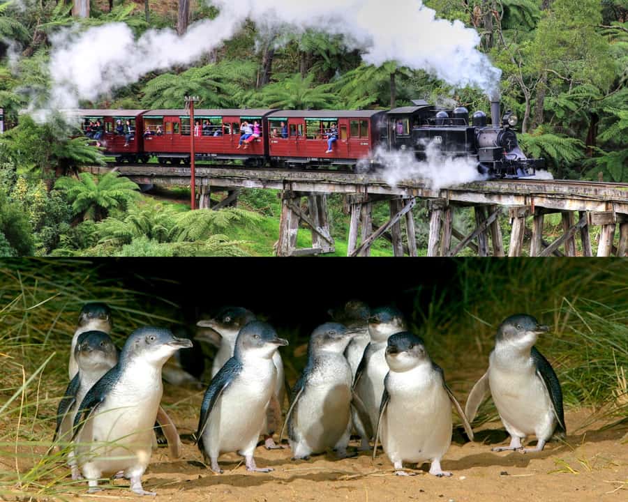 From Melbourne: Puffing Billy and Penguin Parade Combo Tour - Emerald Lake: a calm break before the coast