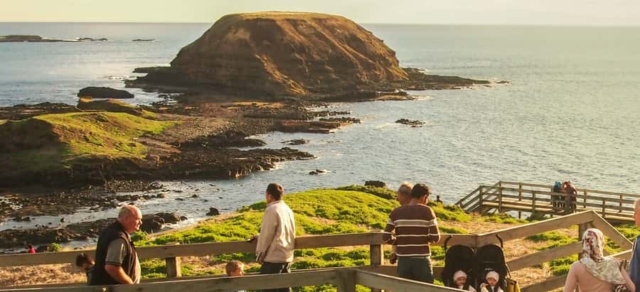 From Melbourne: Puffing Billy and Penguin Parade Combo Tour - Should you book it?